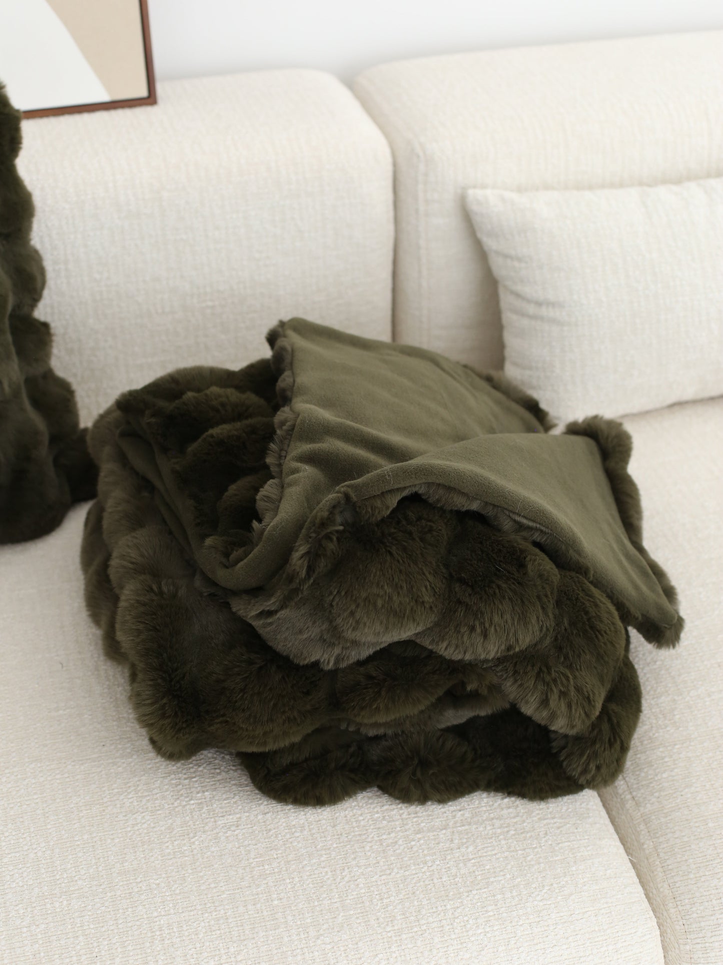 Faux Fur Throw Cloud Blanket - Green