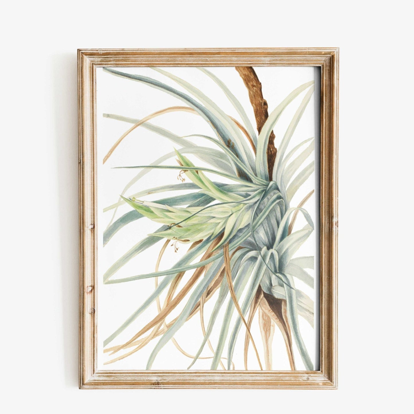 Wild Pineapple Printed Poster